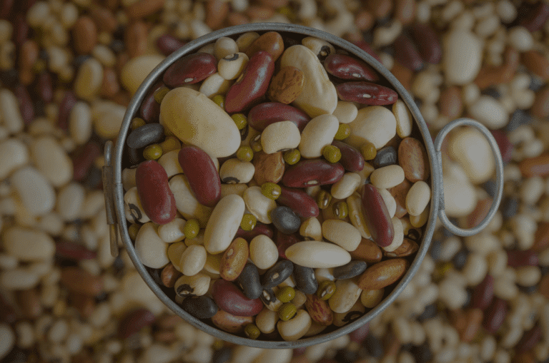 legumineuses-legumes-secs légumineuses légumes secs