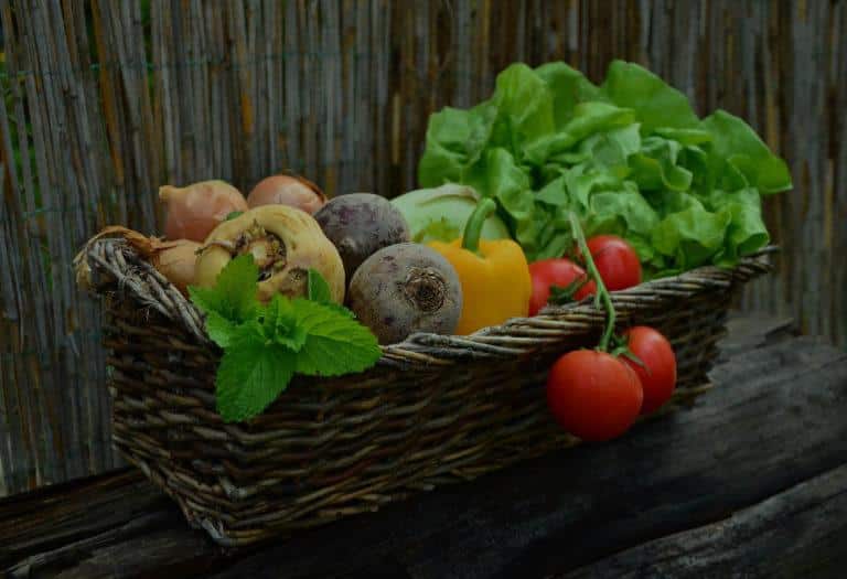 Manger Bio : Plus sainement et de manière plus responsable? Manger Bio : Plus sainement et de manière plus responsable?